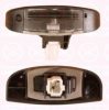 FIAT 0009645268380 Licence Plate Light